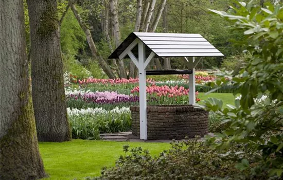 Der Brunnen im Garten: nicht nur beliebt beim Froschkönig