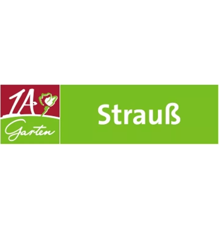 1A Garten Strauß