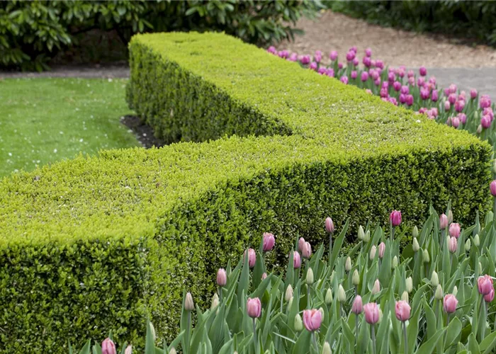 Gartenräume optimal gestalten